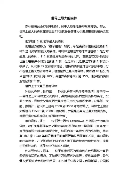 世界上最大的森林