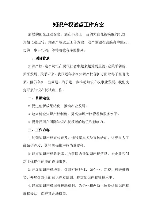 知识产权试点工作方案