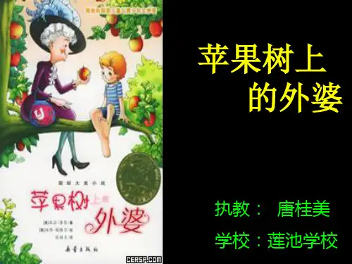 《苹果树上的外婆》