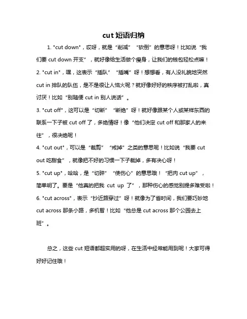 cut短语归纳