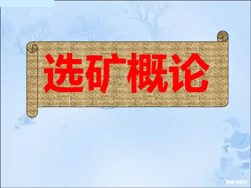 第二章矿石准备作业