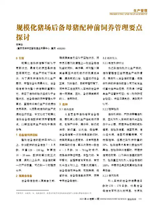 规模化猪场后备母猪配种前饲养管理要点探讨