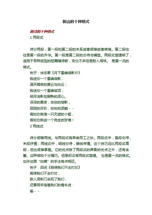 新诗的十种格式