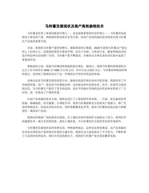 马铃薯发展现状及高产高效栽培技术