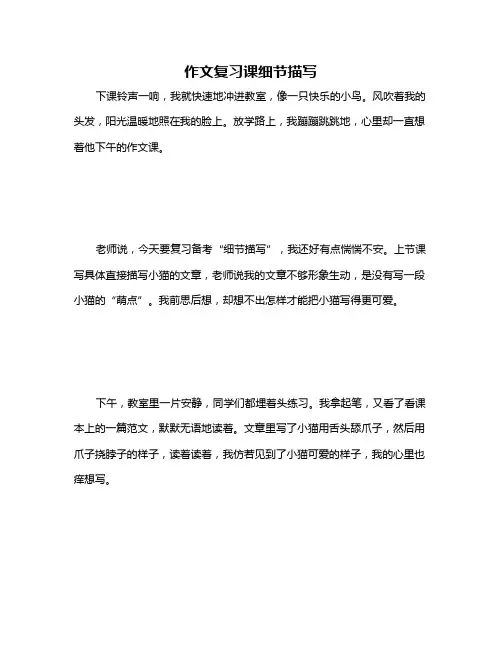 作文复习课细节描写