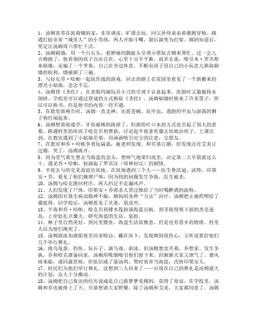 《汤姆索亚历险记》梗概