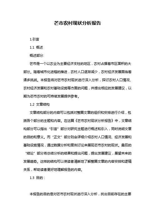 芒市农村现状分析报告