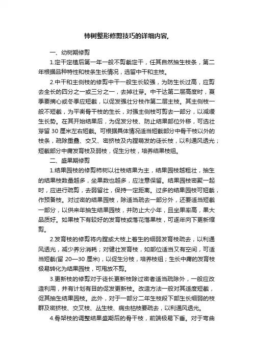 柿树整形修剪技巧的详细内容,