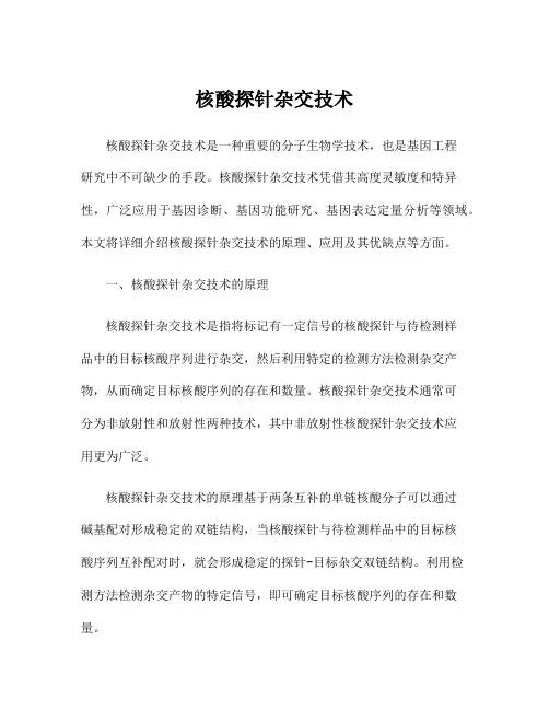 核酸探针杂交技术