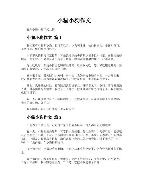 小猫小狗作文