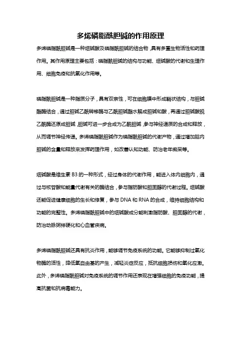 多烯磷脂酰胆碱的作用原理