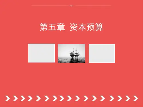 第五章 资本预算(财务管理学)