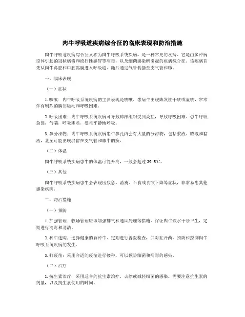 肉牛呼吸道疾病综合征的临床表现和防治措施