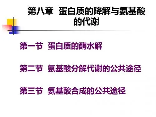 第八章蛋白质的降解与氨基酸的代谢江大食品生化