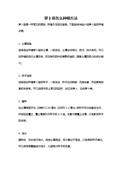 萝卜苗怎么种植方法