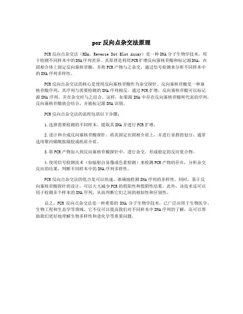 pcr反向点杂交法原理