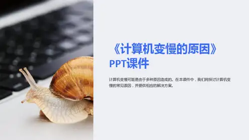 《计算机变慢的原因》课件