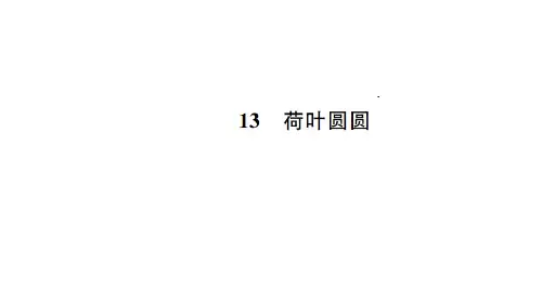 【人教部编版小学语文】荷叶圆圆优质课件1