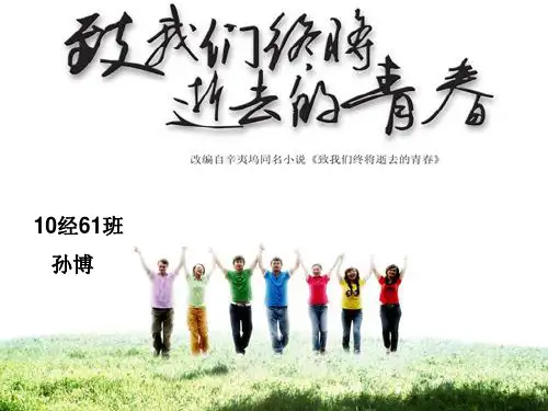 我们终将逝去的青春素材PPT模板