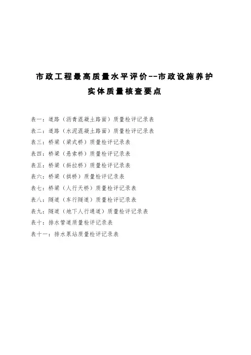 市政工程最高质量水平评价(市政设施养护)实体质量核查要点