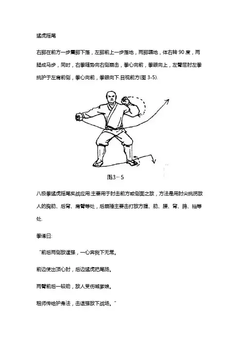 少林二门八极拳三四式猛虎摇尾和横扫千军