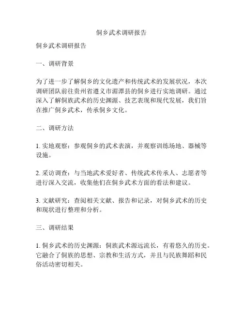 侗乡武术调研报告