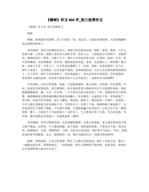 《榕树》作文800字_初三优秀作文