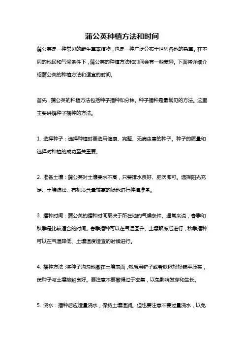 蒲公英种植方法和时间