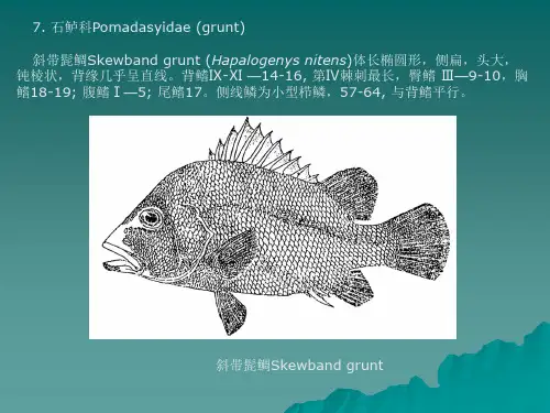 鱼类养殖学04