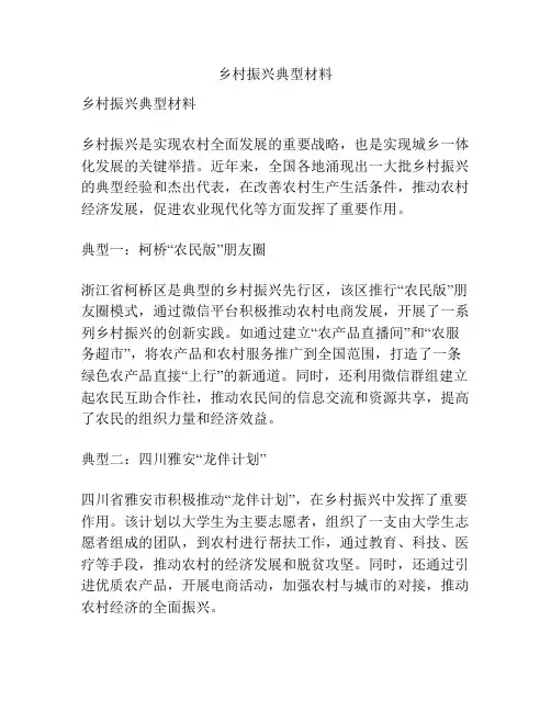 乡村振兴典型材料