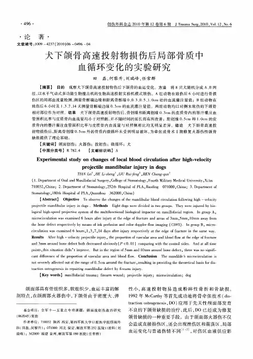 犬下颌骨高速投射物损伤后局部骨质中血循环变化的实验研究