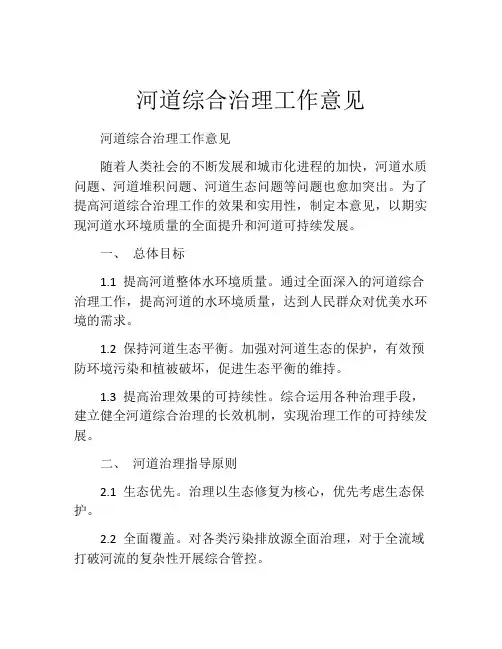 河道综合治理工作意见