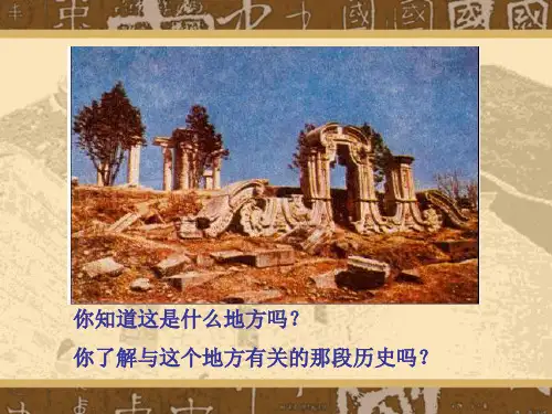 《列强入侵与民族危机》课件(人民版必修1)