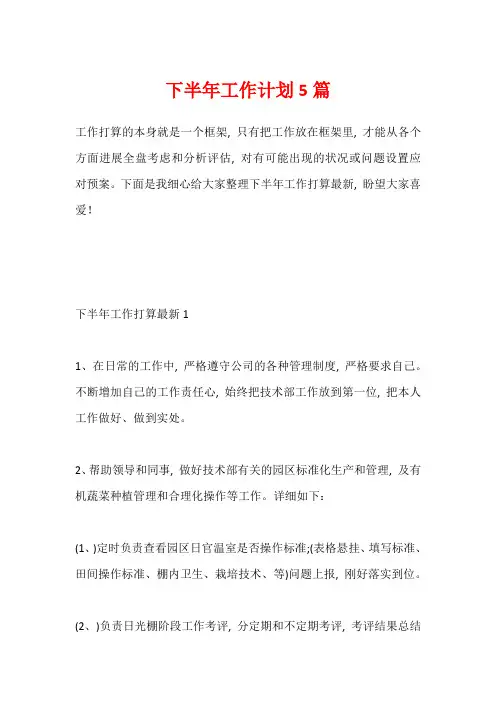 下半年工作计划5篇
