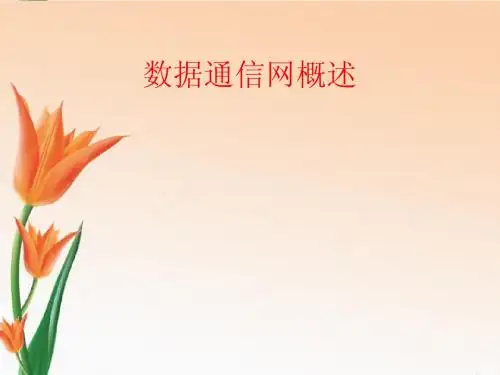 数据通信网概述