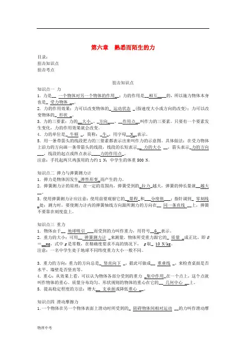 中考物理总复习第六章熟悉而陌生的力