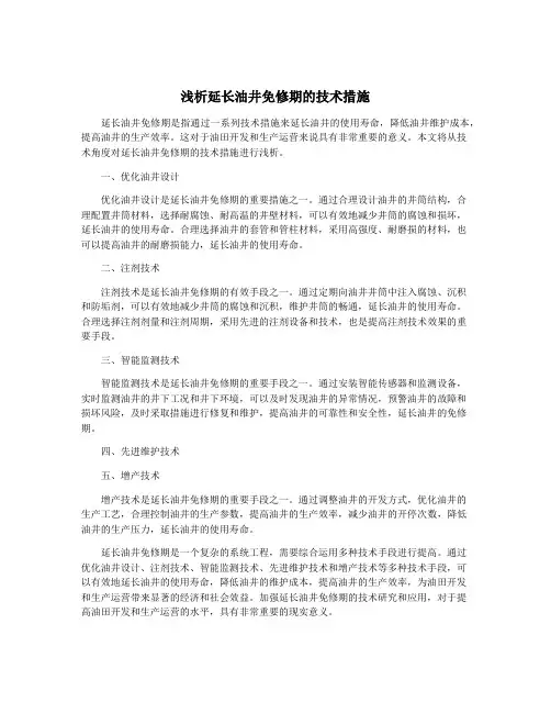 浅析延长油井免修期的技术措施