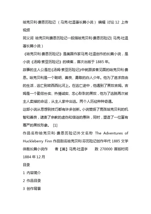 哈克贝利费恩历险记