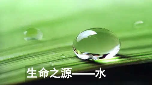 高中生物2-5细胞中的无机物优秀课件