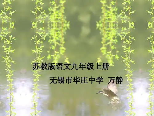 初中作文指导：细节让人物“活”起来