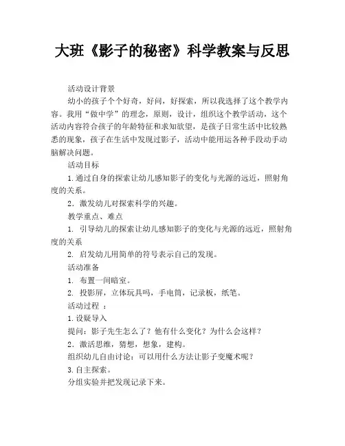 大班《影子的秘密》科学教案与反思
