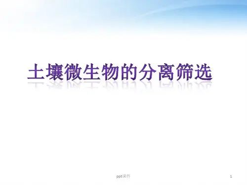 土壤微生物的分离筛选  ppt课件