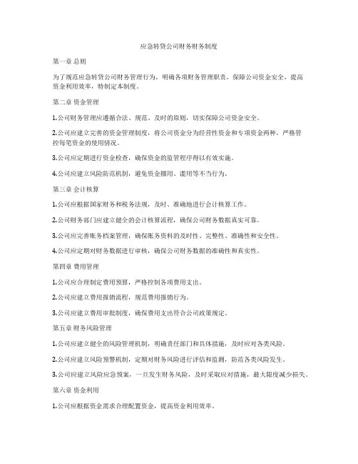 应急转贷公司财务财务制度