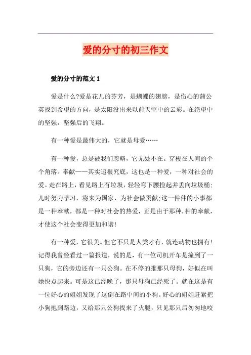 爱的分寸的初三作文