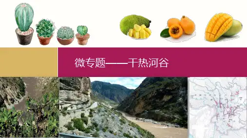 微专题干热河谷