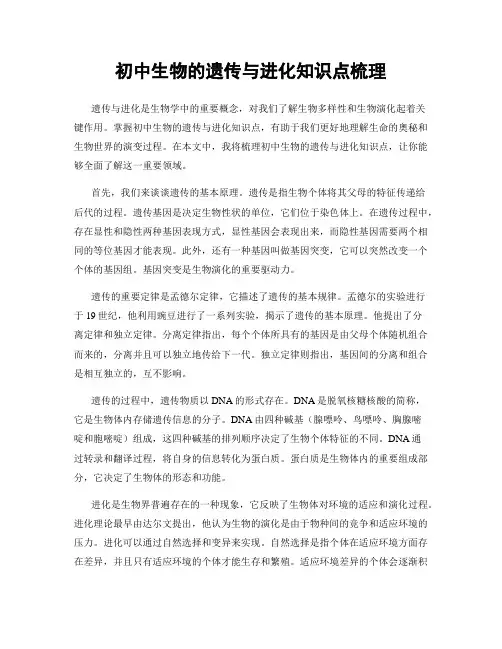 初中生物的遗传与进化知识点梳理
