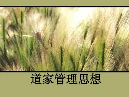 道家管理思想