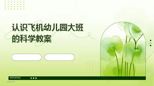 认识飞机幼儿园大班的科学教案
