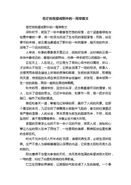苍茫将我望成野外的一尾草散文