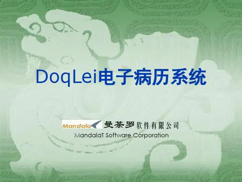 曼荼罗电子病历PPT